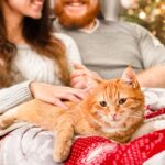 Tips for Succeeding on Dating Sites for Cat Lovers